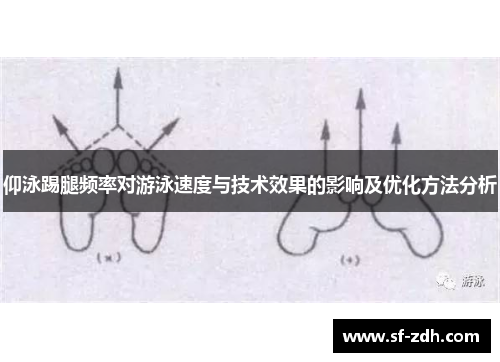 仰泳踢腿频率对游泳速度与技术效果的影响及优化方法分析