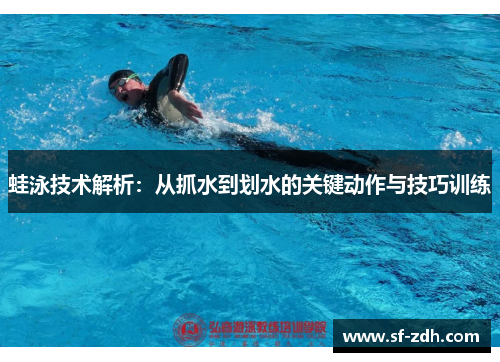 蛙泳技术解析：从抓水到划水的关键动作与技巧训练
